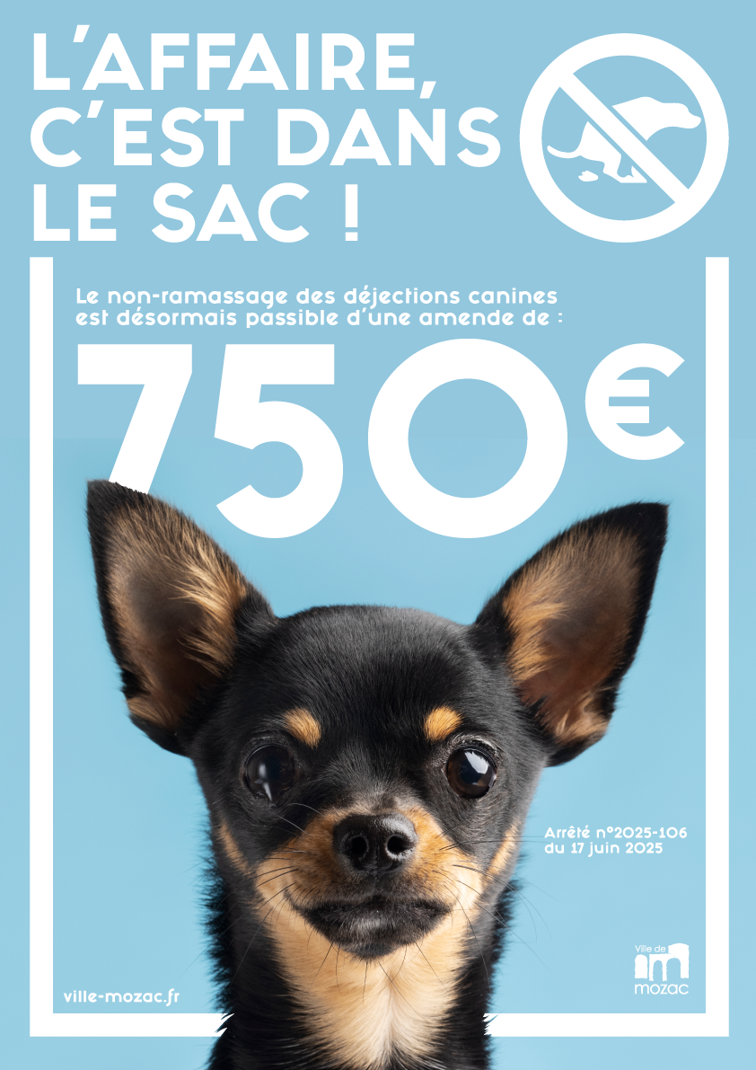 L’AFFAIRE, C’EST DANS LE SAC ! Arrêté municipal contre les déjections canines sur la voie publique